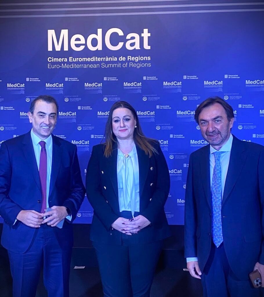 Σύνοδος Κορυφής των Μεσογειακών Περιφερειών (Euro-Mediterranean Summit of Regions)